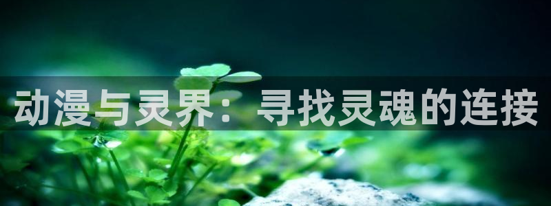 回术者樱花动漫：动漫与灵界：寻找灵魂的连接